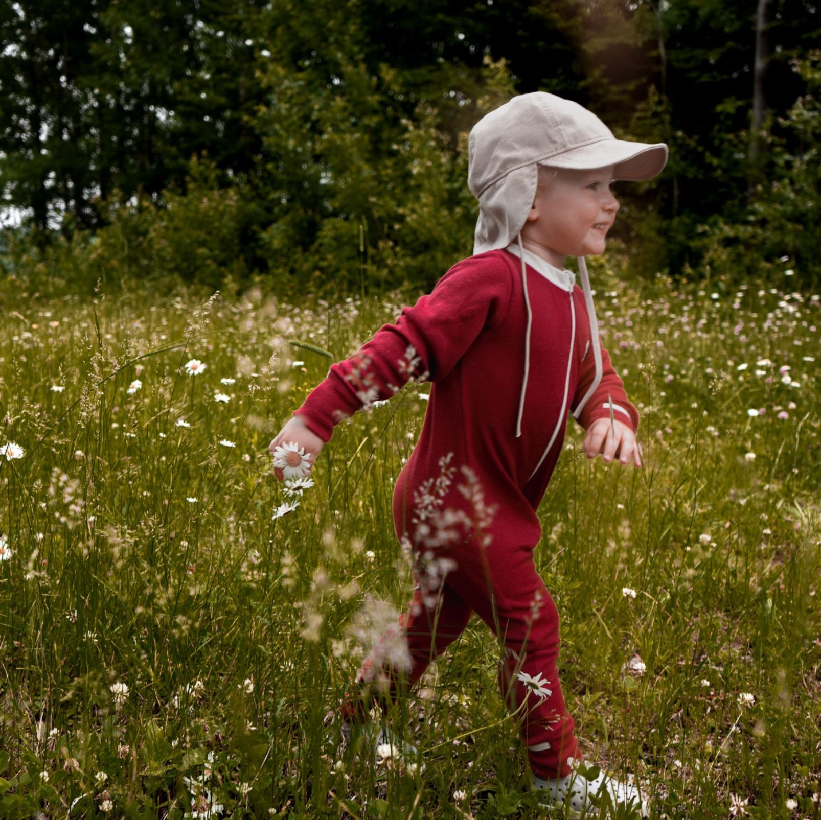 Collection of  in a gallery layout